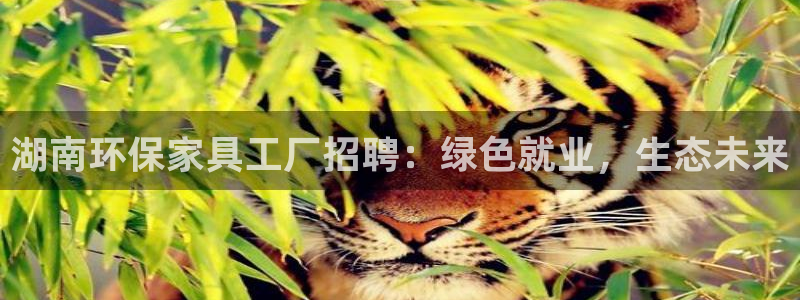 杏耀官方注册中心：湖南环保家具工厂招聘：绿色就业，生态未来
