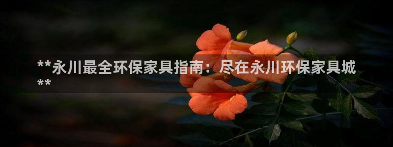 杏耀平台代理登录网址查询