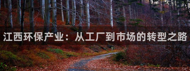 杏耀平台专用通道：江西环保产业：从工厂到市场的转型之路