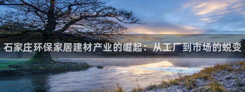 杏耀测速网址电脑版：石家庄环保家居建材产业的崛起：从工厂到市