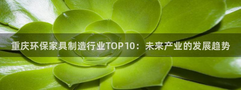 杏耀注册登录：重庆环保家具制造行业TOP10：未来产业的发展