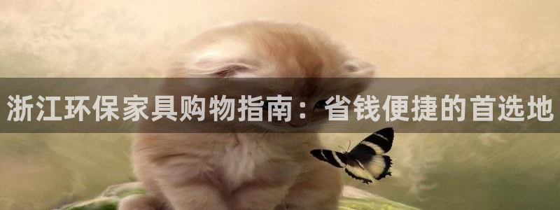 杏耀代理注册：浙江环保家具购物指南：省钱便捷的首选地