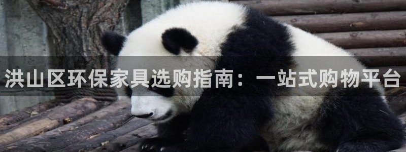 杏耀平台登陆地址：洪山区环保家具选购指南：一站式购物平台