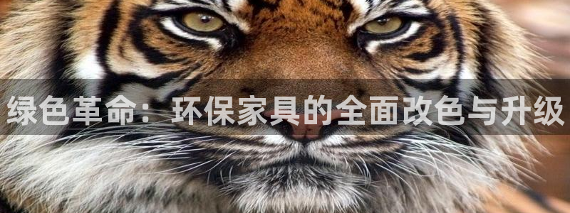 杏耀平台可以提款吗：绿色革命：环保家具的全面改色与升级