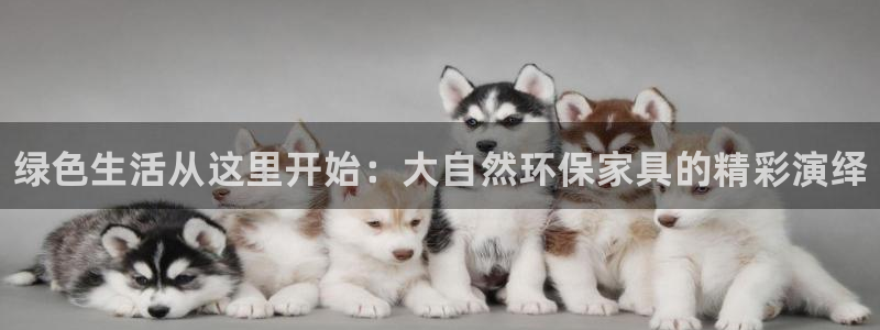 杏耀官方网：绿色生活从这里开始：大自然环保家具的精彩演绎